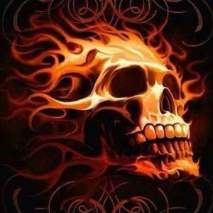 Meet your Posher, Darren